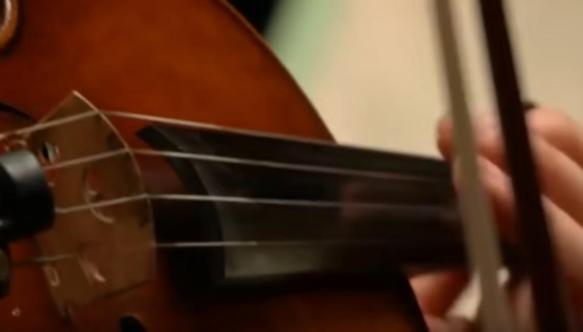 Violin